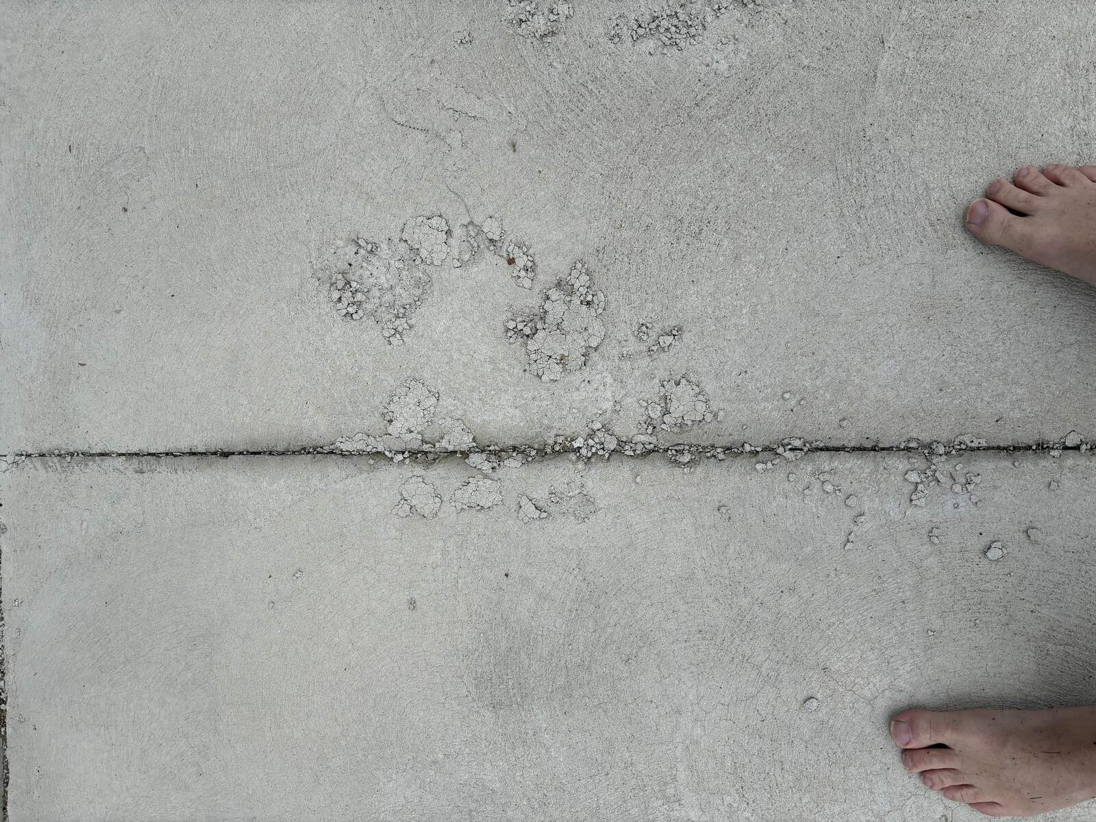 Concrete driveway surface scaling